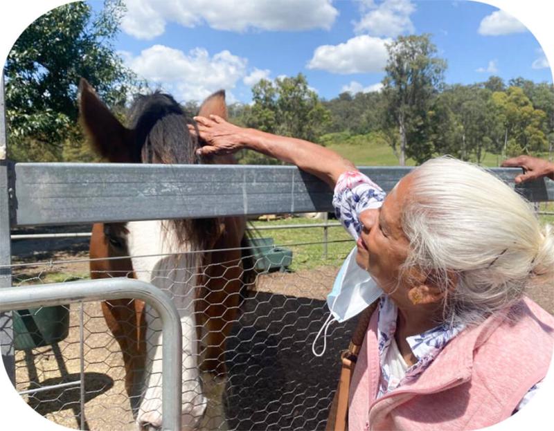 A senior lady petting a horse